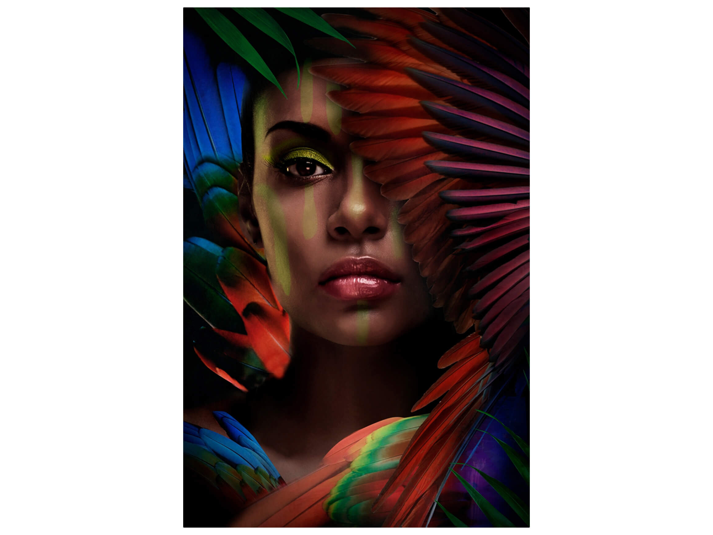 Digitaldruck auf Glas Dunkle Schönheit mit Federn image LAND