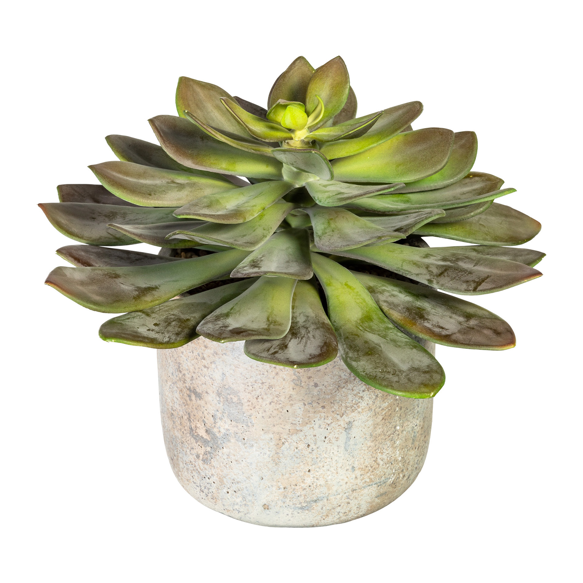 Kunstpflanze Echeveria Grünrosa im Topf Gasper / Grösse: 29 x cm