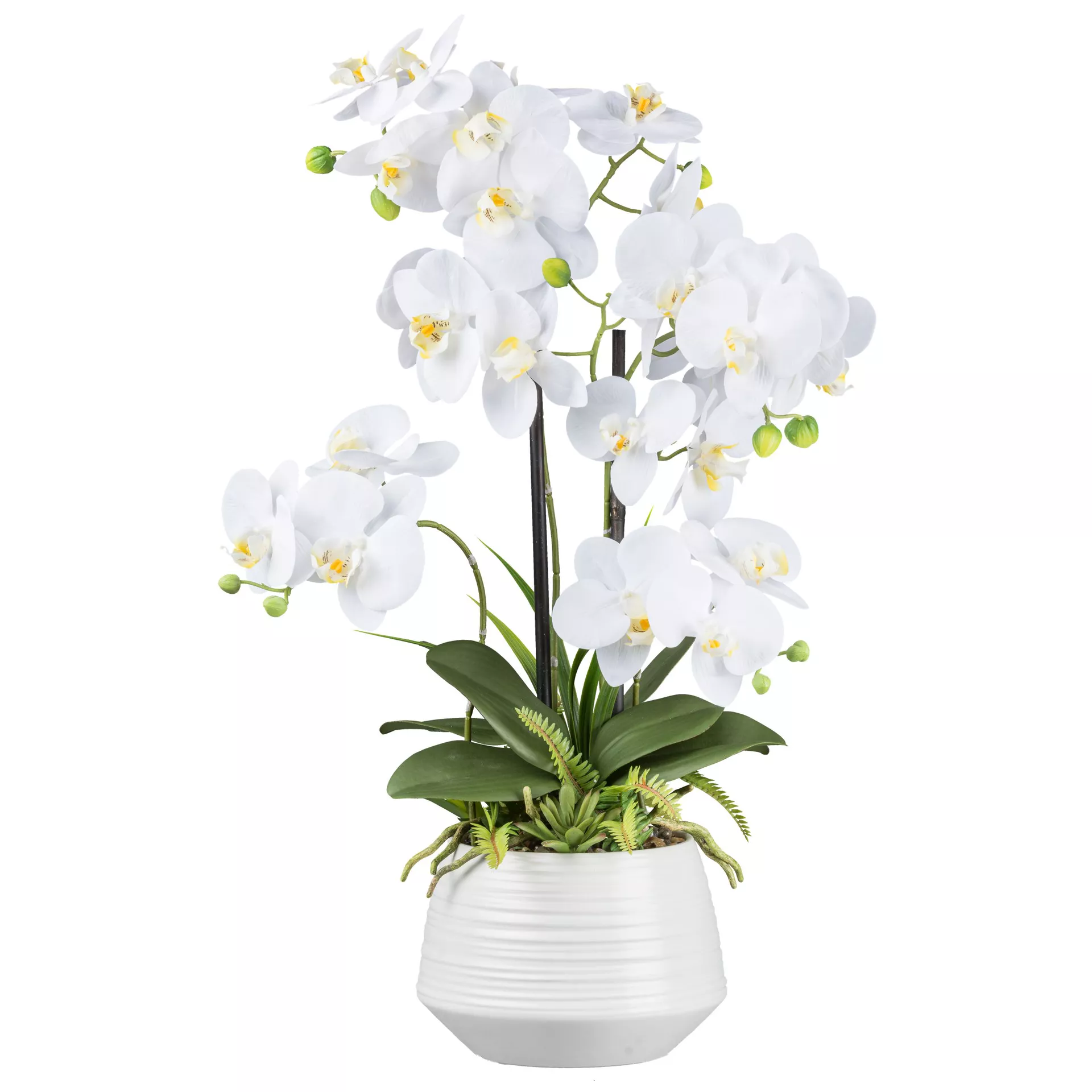 Kunstpflanze Orchidee im Keramiktopf H: 65 cm Gasper / Farbe: