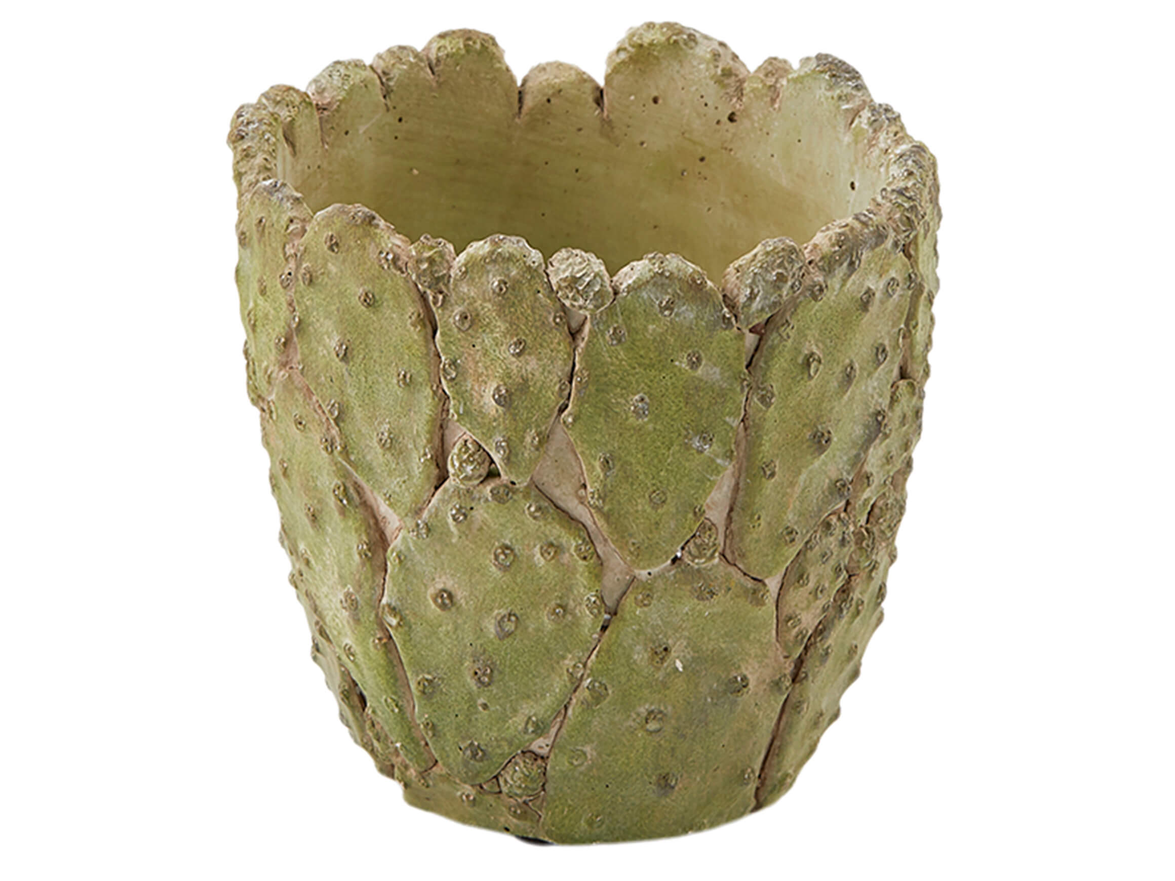 Gefäss Kaktusfeige Beton H: 15 cm Edg