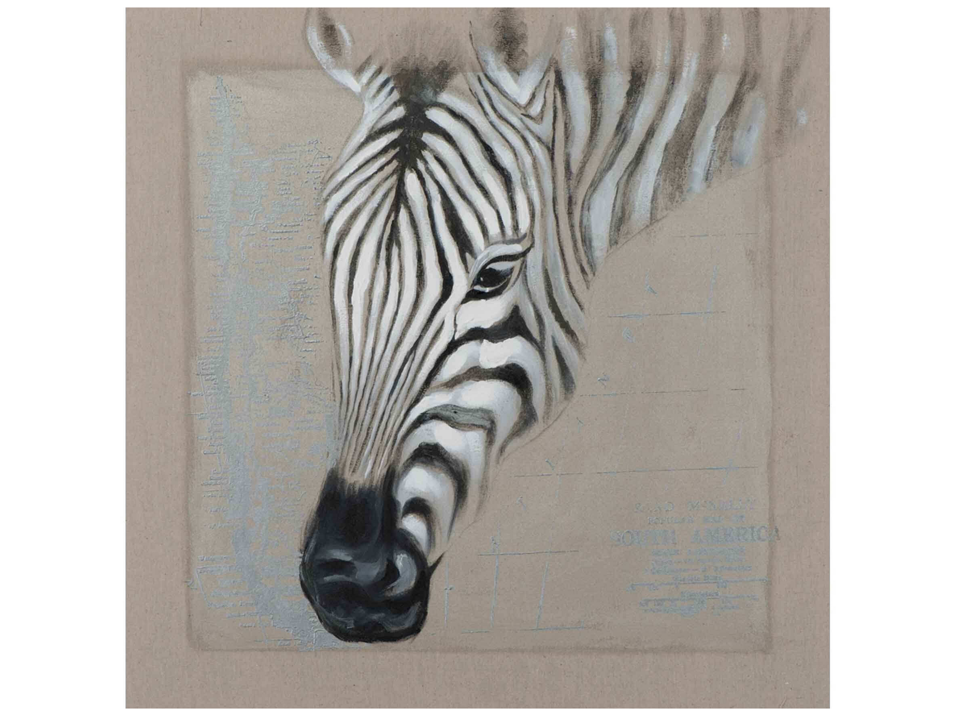 Bild Zebrakopf Bild Zebrakopf