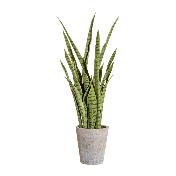 Gasper Kunstpflanze Sanservieria Grün  | Schubiger Möbel