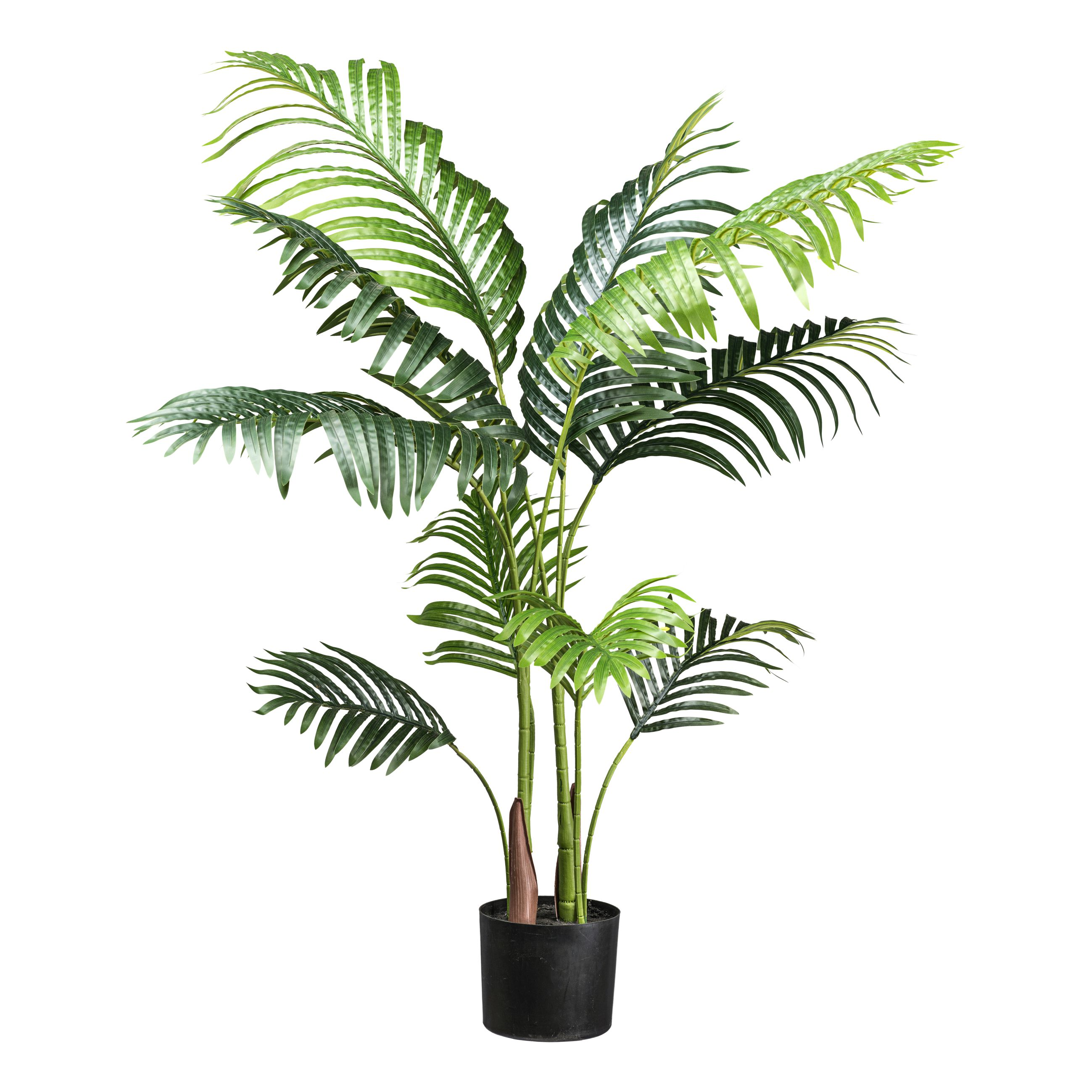 Kunstpflanze Kentiapalme Grün H: 110 cm Gasper