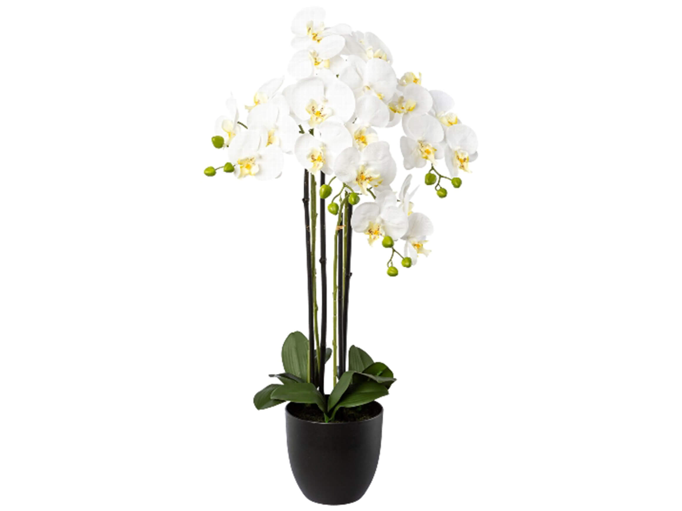Kunstpflanze Orchidee Weiss im Topf H: 83 cm Gasper