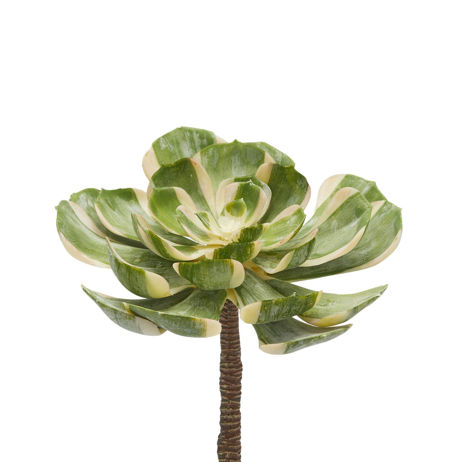 Edg Kunstblume Rosettendickblatt D: 16 cm  | Schubiger Möbel
